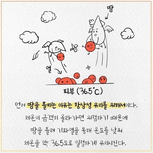 df0367e750e0d7eeb0d2f4f6ee700798.webp 살 찌면 더위 많이 타는 이유 .jpg