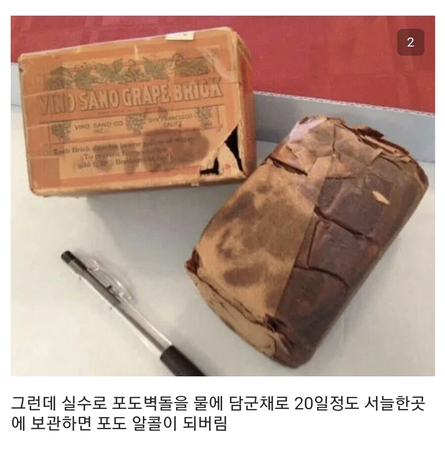 228b51c7083e831df3bbee528a85ad15.webp 100년전 미국의 실패한 발명품