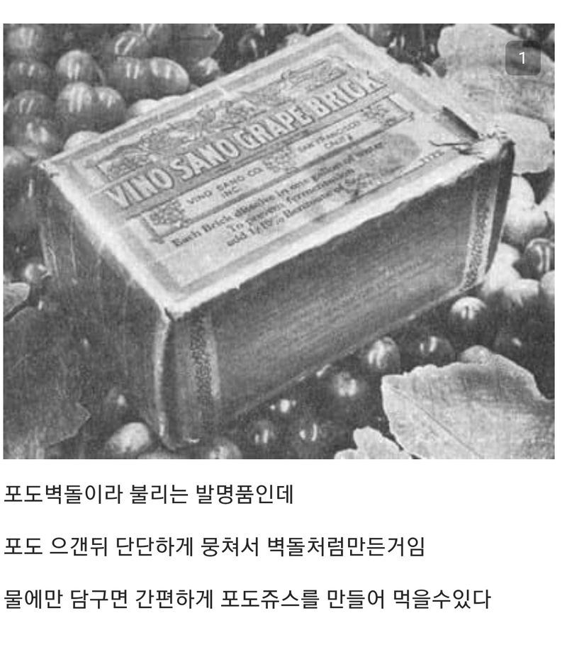 4c3e12cabead02a9f9554899145b1503.webp 100년전 미국의 실패한 발명품