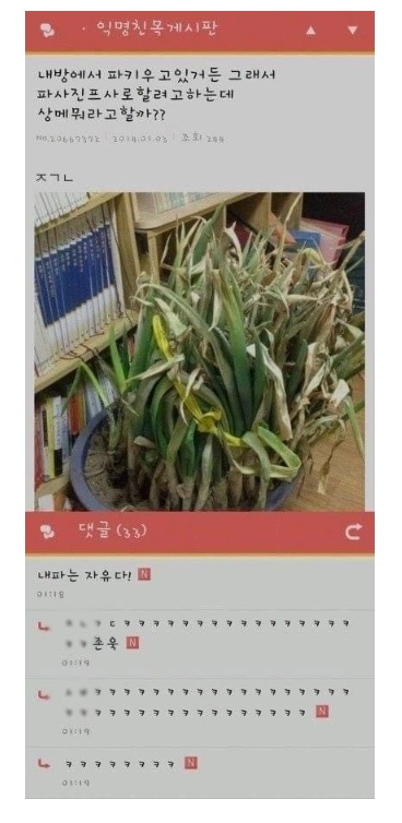 네파는 자유다
