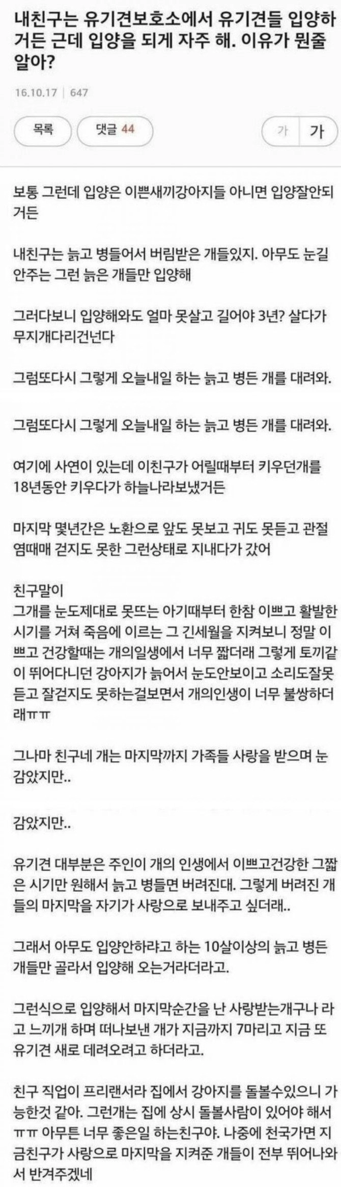 유기견을 자주 입양하는 친구.jpg