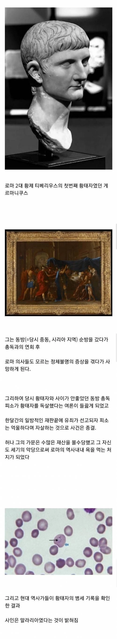 2000년 전 로마 황태자 독살사건2000년 전 로마 황태자 독살사건