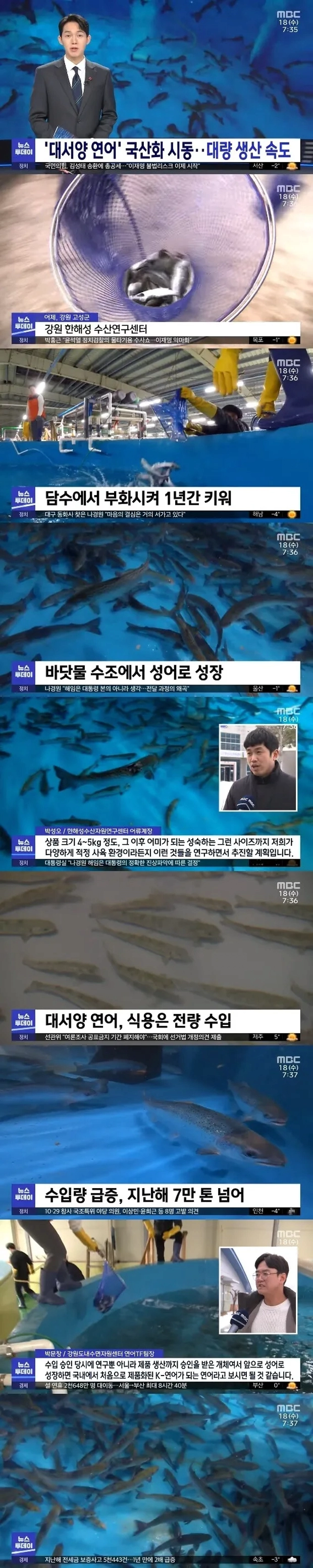 연어 좋아하는 사람들에게 희소식
