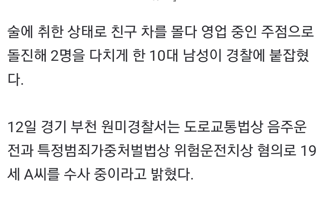 만취한채 친구차 몰래 운전해서 술집 박살낸 10대