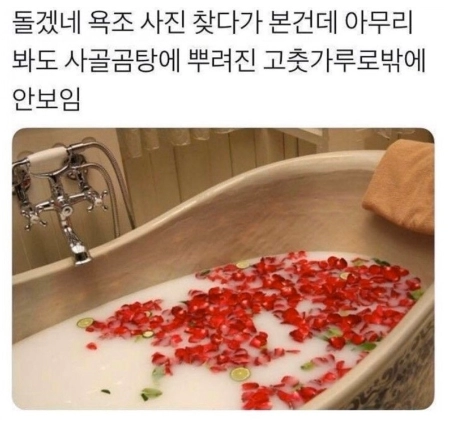 ㅋㅋㅋㅋ착시