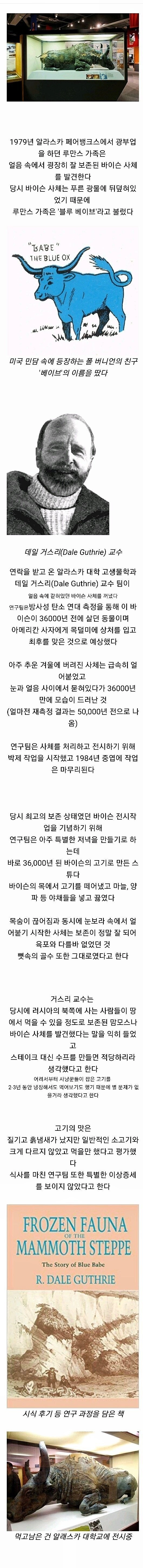 5만년 동안 숙성된 소고기