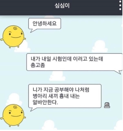 심심이...뼈아픈충고