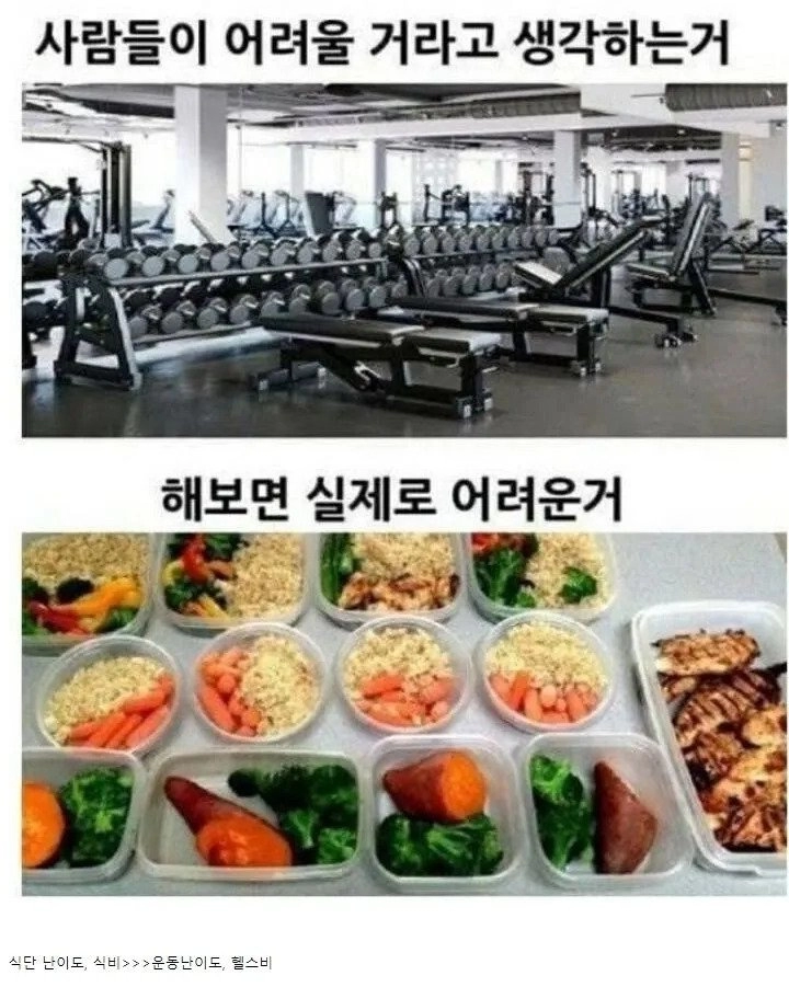 다이어트 할 때 제일 힘든 거
