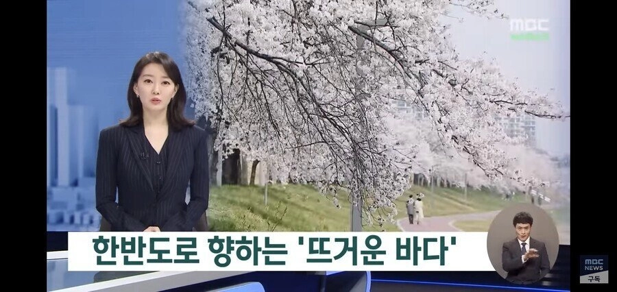 올해 여름 역대급 폭염 예정이라는 관측