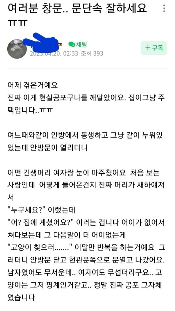 남의집 창문으로 고양이 납치하러 들어간 캣맘