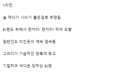 일반인에게 맞고 기절한 UFC 챔피언
