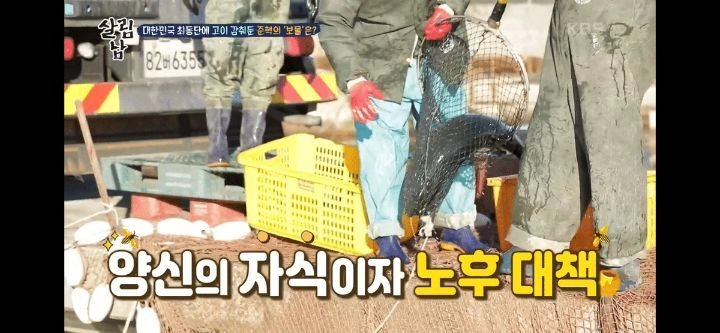 양준혁이 소유하고 있는 (대)방어 양식장