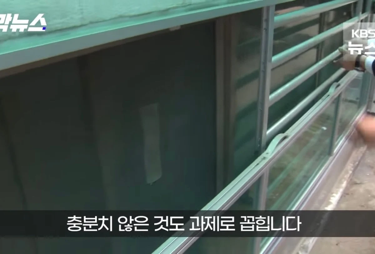 폭우 앞두고 반지하 거주민 대피 대책으로 내놓은 답변