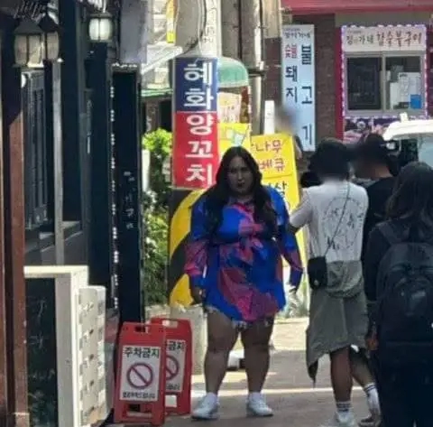 풍자 실제 크기