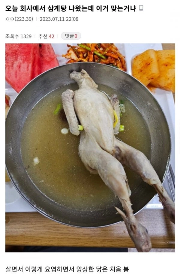 중소기업 삼계탕 근황