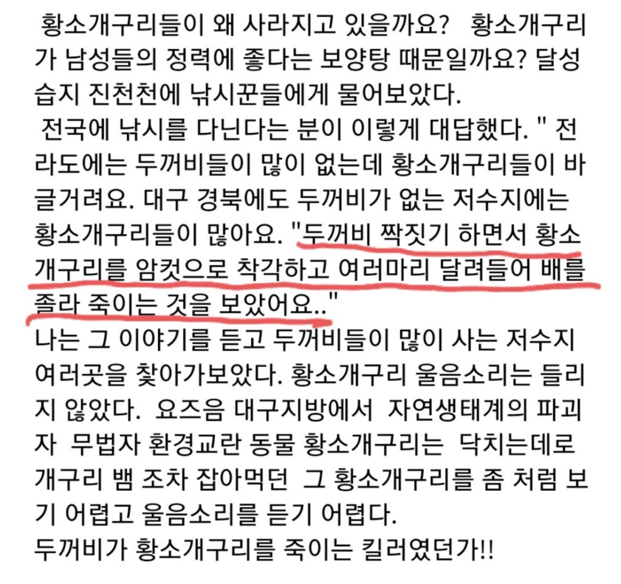 황소개구리가 사라지는 이유
