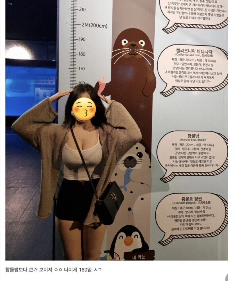 여자 키 160이면 작은건가?