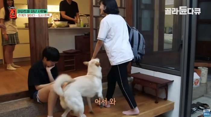 40대 아빠가 아파트 팔고 쓰러져가는 한옥을 리모델링해 이사한 이유