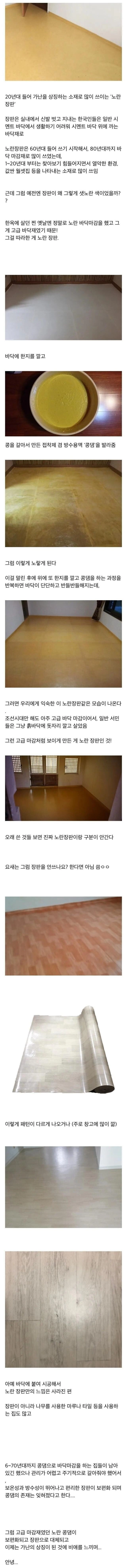 노란장판의 비밀