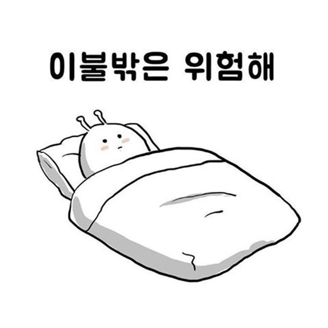 평생 집돌이 집순이 가능?