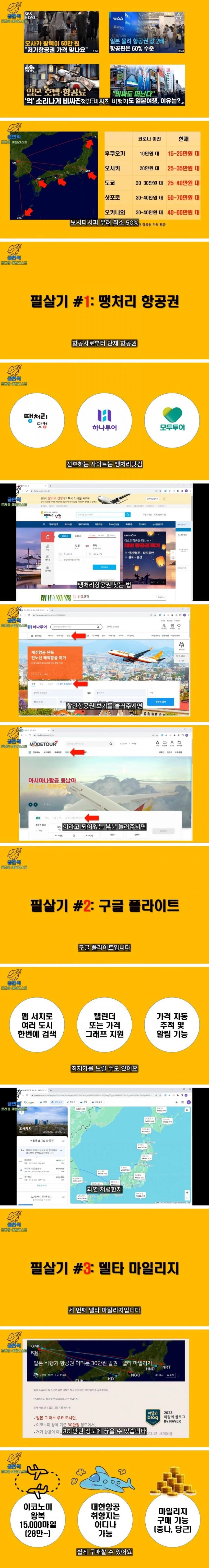 떡상한 일본 항공권 싸게 사는 필살기