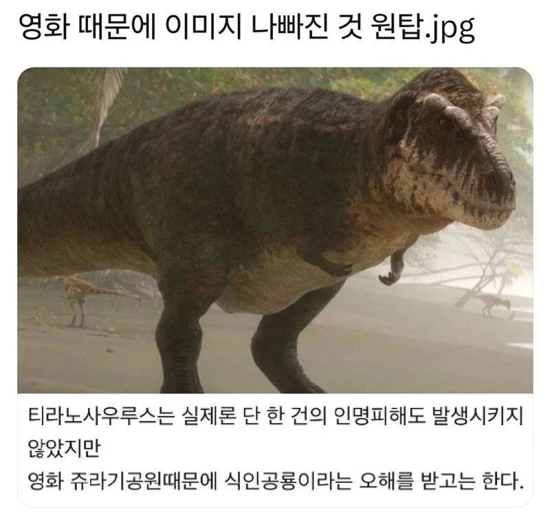 영화 때문에 이미지 나빠진 동물 원탑