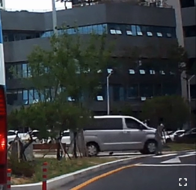 보배드림에서 난리난 음주운전 사고판결