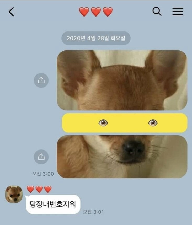 헤어진 여자친구에게 보낸 마지막 카톡