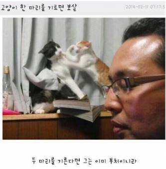 2묘 집사 졸지에 부처 등극