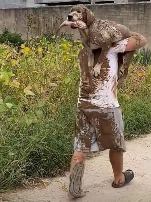사진 한 장만 봤는데 바로 이해되는 사진