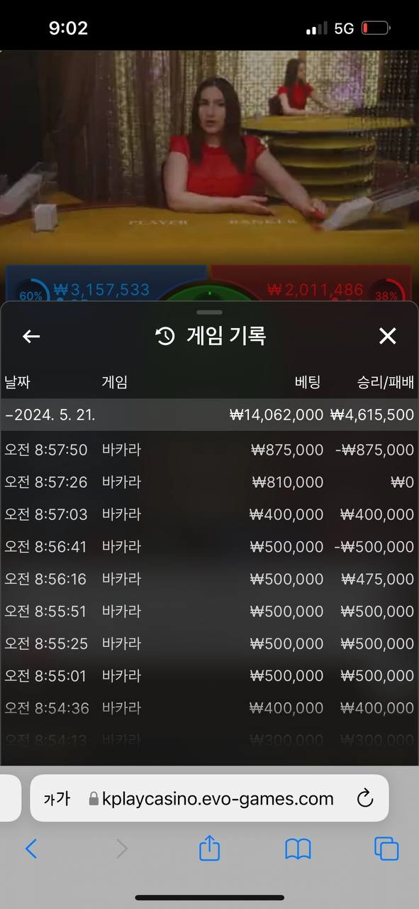 더 미트  먹튀