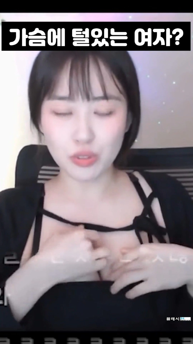 넣어 보고 싶은 소람잉