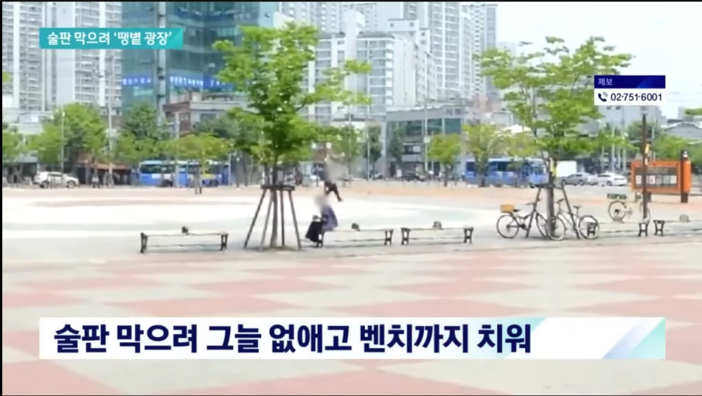 술판 막겠다고 그늘 없앤 구청
