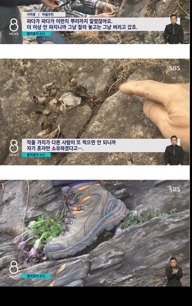 사진 작가들이 사진 찍고 훼손하는 이유