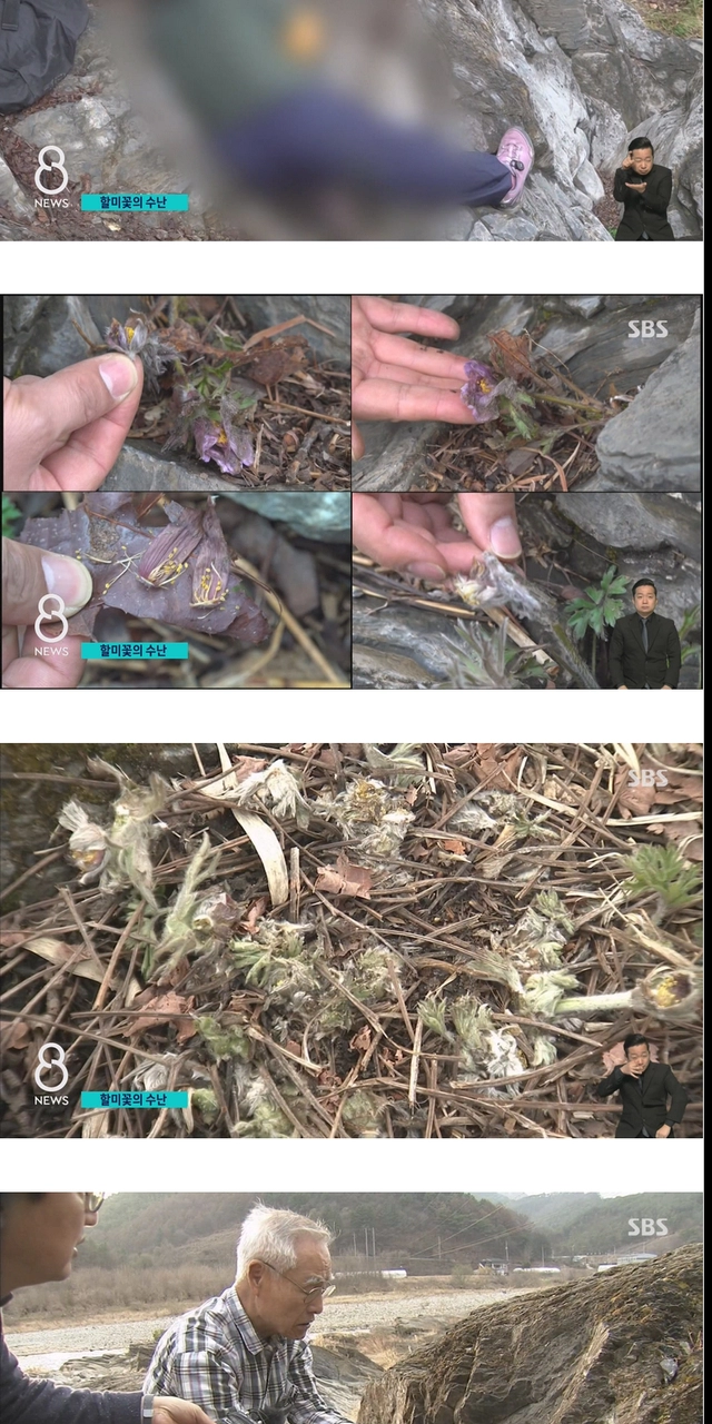 사진 작가들이 사진 찍고 훼손하는 이유