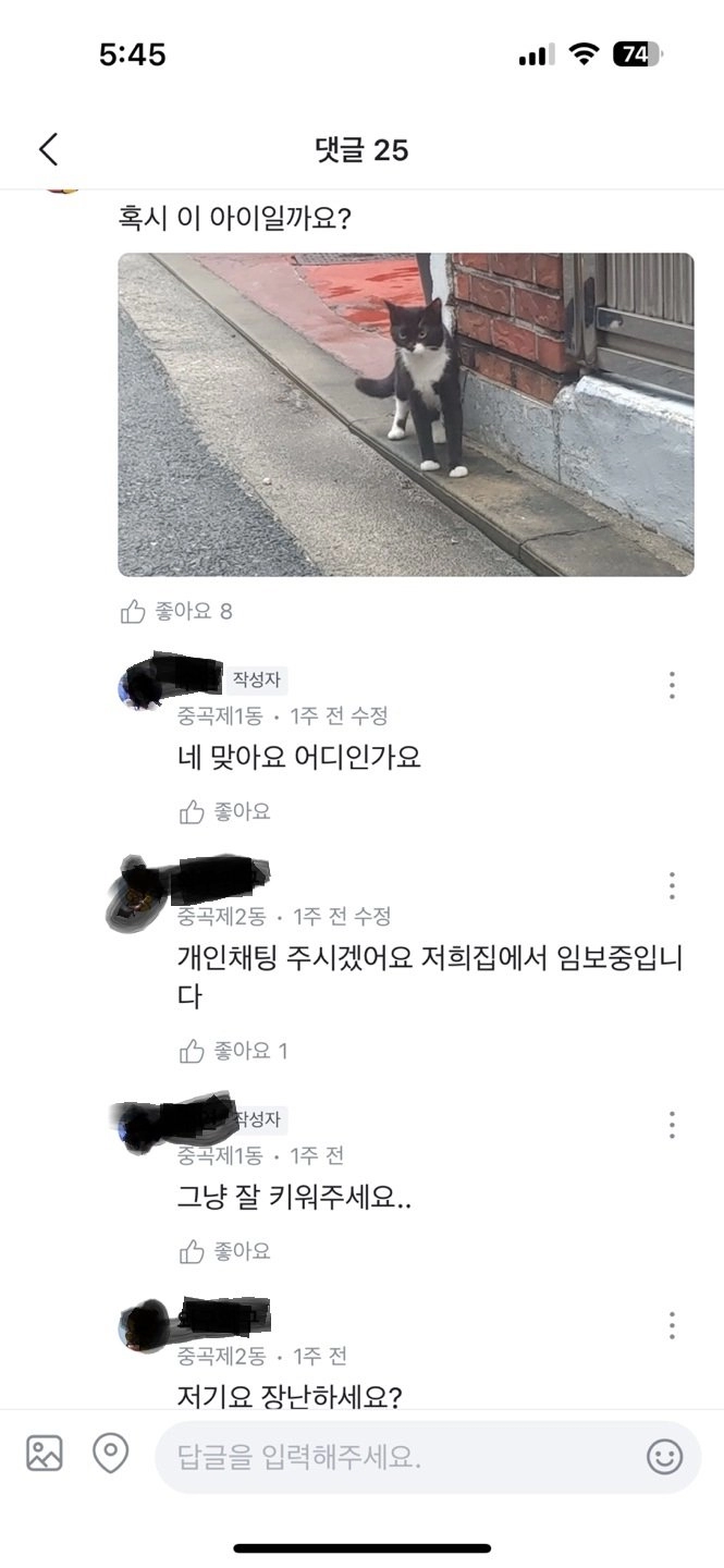 사탄도 울고갈 고양이 유기방법
