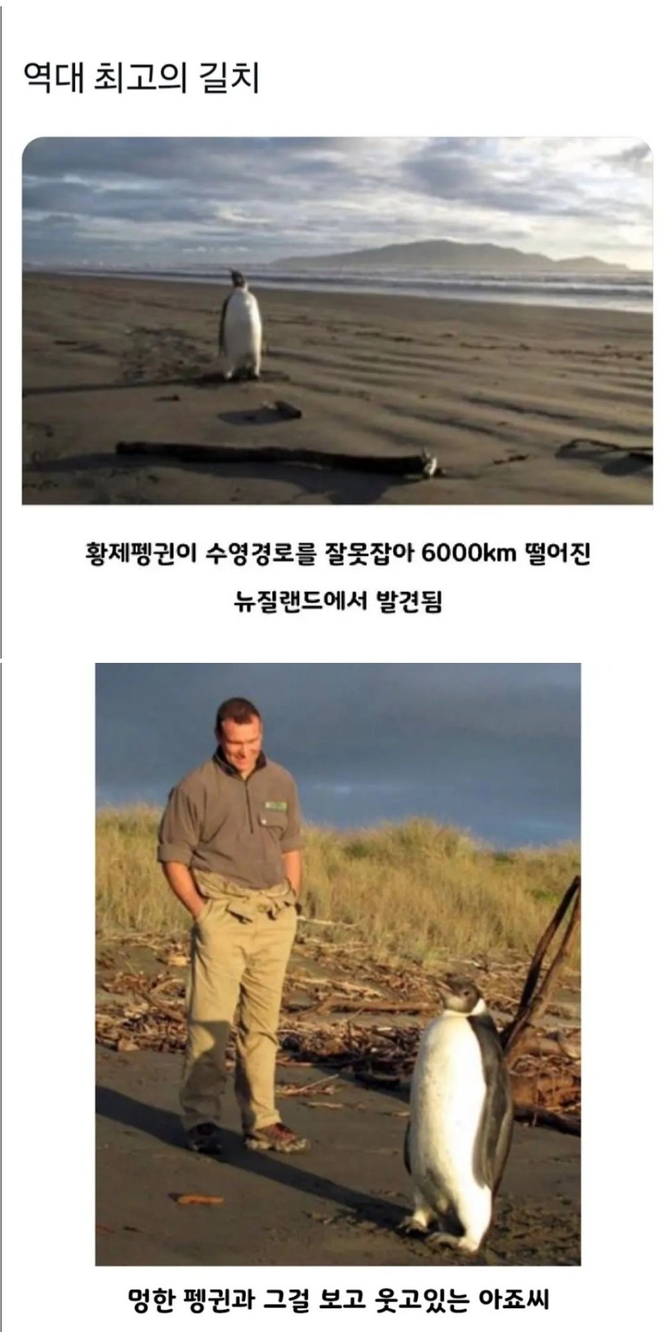 세계 역사상 최고의 길치