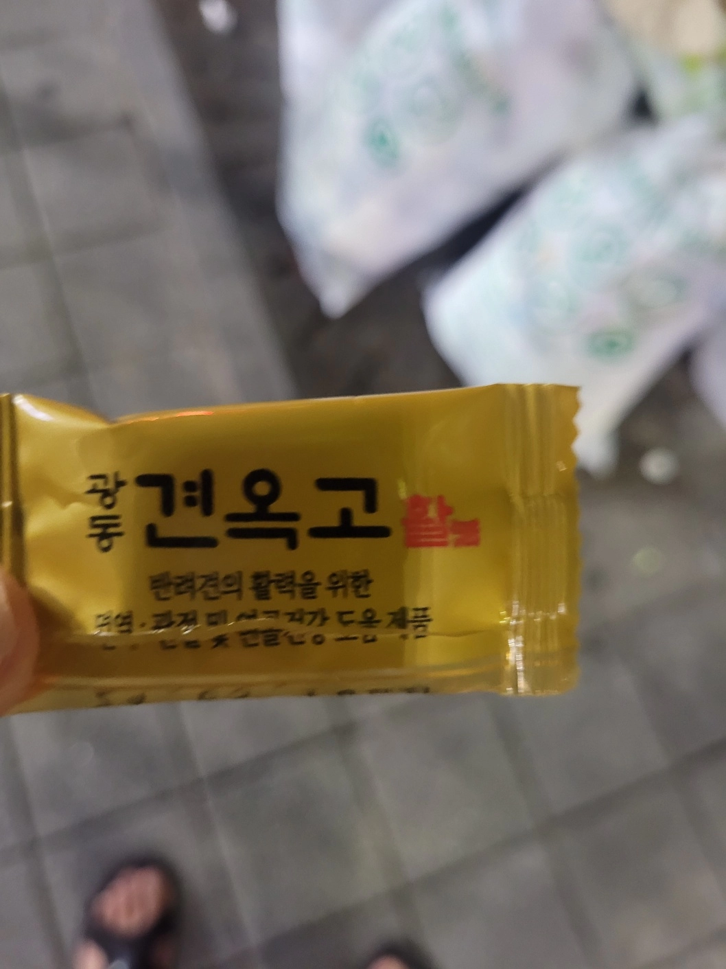 반려천국ㅎ