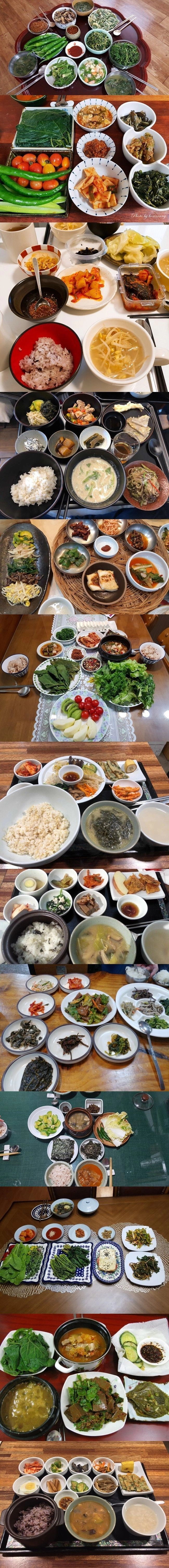 한국인들이 서구권 비건들이 유난떠는걸 이해 못하는 이