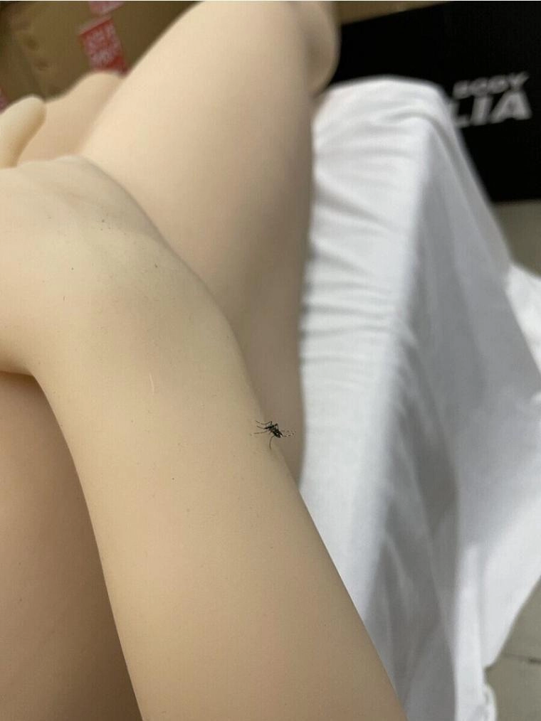 리얼돌이 진짜 리얼하면 생기는 일