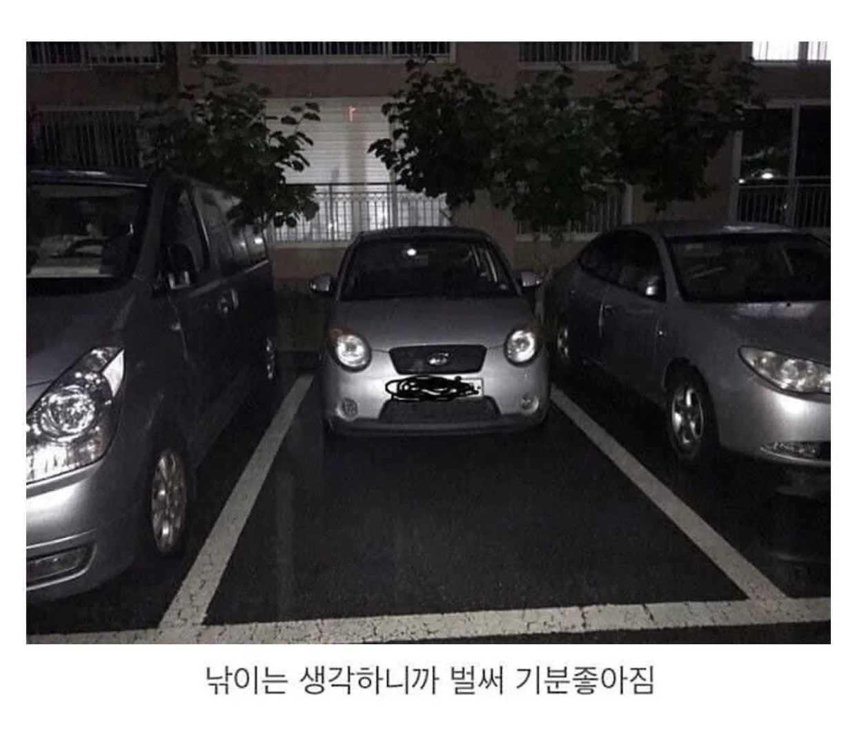 경차들의 은밀한 취미