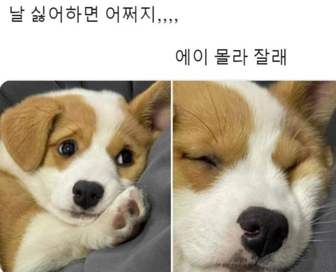 날 싫어하면 어쩌지