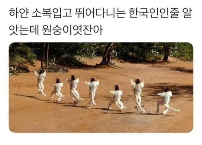하얀 소복 입고 뛰어다니는 한국인인 줄 알았는데...