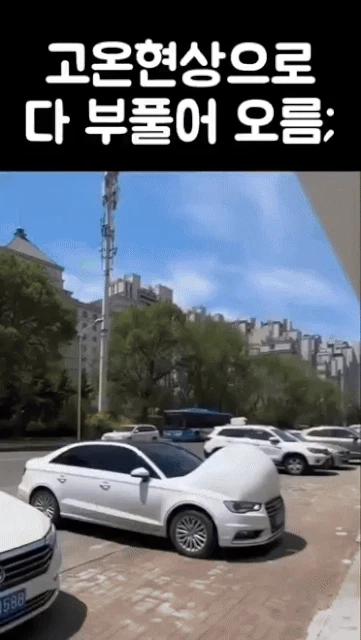 고온현상으로 다 부풀어 오름
