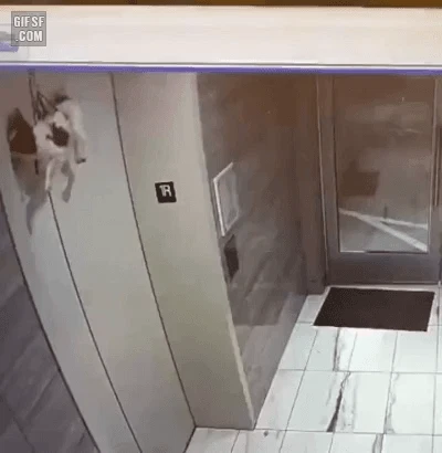살려달라 해야되는데 내성적이라 쉽지 않음