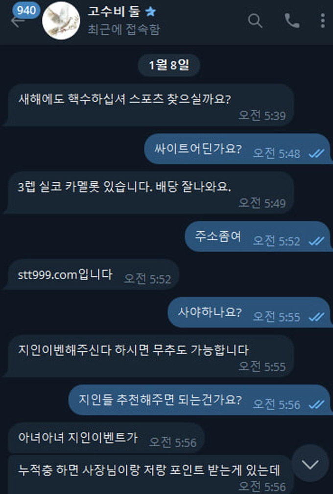 카멜롯 먹튀