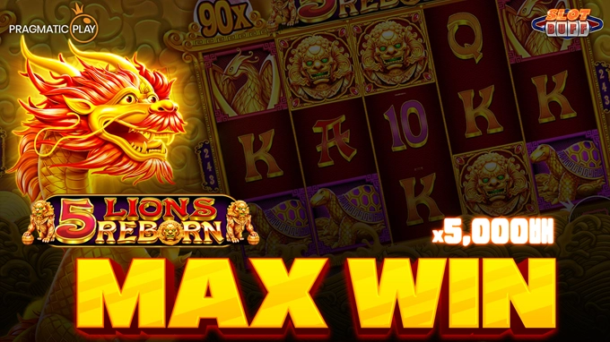 🔥신규슬롯🔥 5 라이온즈 리본 x5,000배 맥스윈!! [프라그마틱]