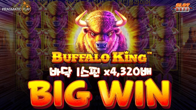 버팔로 킹 바닥 1스핀 🔥당첨금 430만원🔥 빅윈!! [프라그마틱]