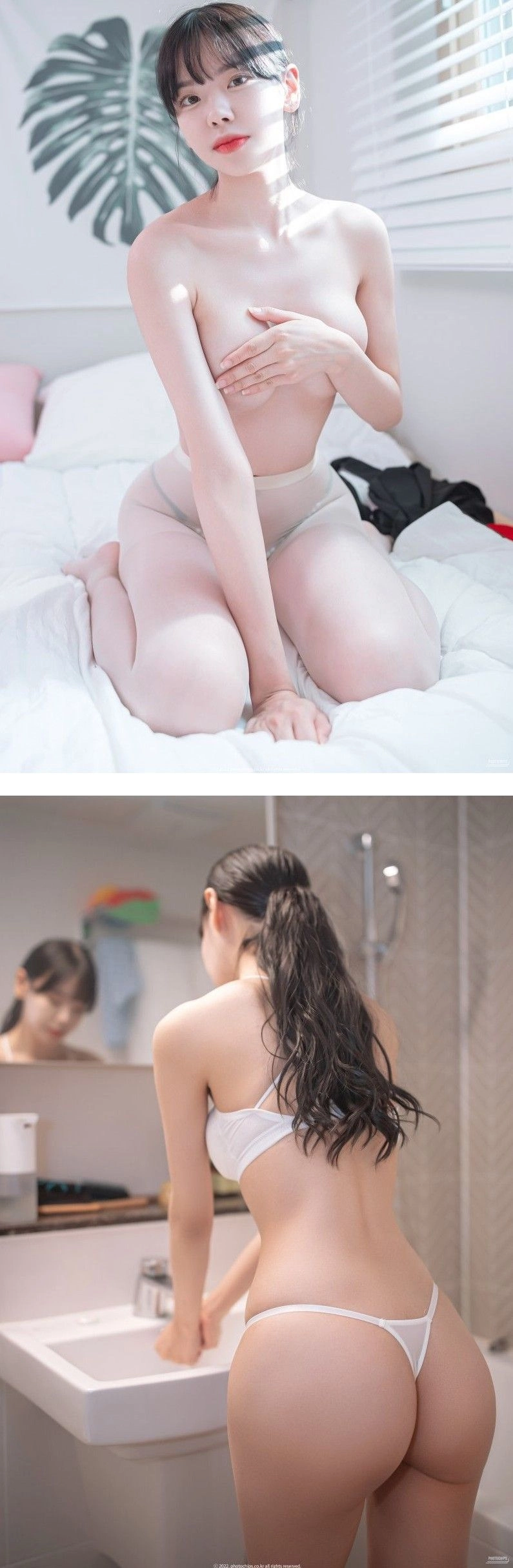 기룡이 미드 손브라 타락한 아나운서