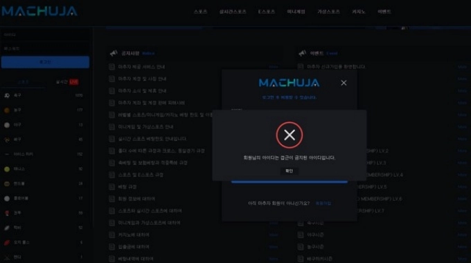 마추자 먹튀